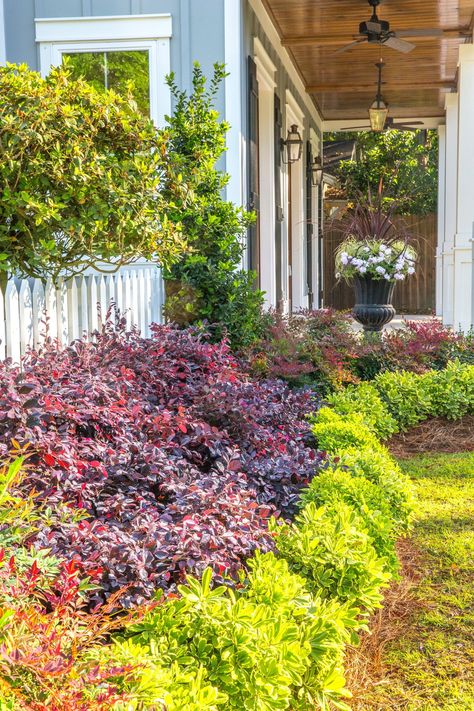 Looking to create a lush, private oasis in your yard? Check out our top 5️⃣ privacy hedge plants from the Southern Living Plant Collection! 🌳 1️⃣ Oakland Holly 2️⃣ Bigfoot Cleyera 3️⃣ Camellias 4️⃣ Coppertop Sweet Viburnum 5️⃣ Purple Diamond Loropetalum Build your peaceful retreat and enjoy privacy all year round with these robust and beautiful hedge plants 🏡 Head to our website to learn more and start planting your way to privacy today! ⤵️ (link in bio) Oakland Holly, Sweet Viburnum, Hedge Plants, Southern Living Plant Collection, Privacy Hedge, Purple Diamond, Plant Collection, Southern Living, Hedges