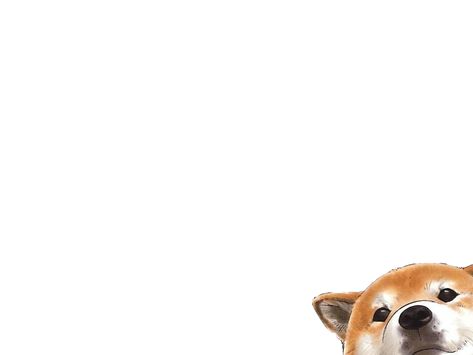 Corgi wallpaper Corgi Wallpaper Iphone, Corgi Wallpaper, Dog Wallpapers, Cute Dog Wallpaper, We Bare Bears Wallpapers, Mac Wallpaper, Wallpaper Ipad, Wallpaper Dekstop, Macbook Wallpaper