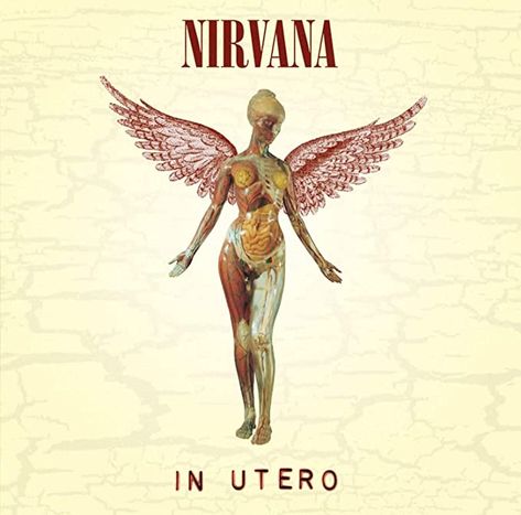 In Utero [VINYL]: Amazon.co.uk: CDs & Vinyl Nirvana Album Cover, Nirvana Album, Nirvana In Utero, The Smashing Pumpkins, In Utero, Cool Album Covers, Stone Temple Pilots, Smells Like Teen Spirit, Heart Shape Box