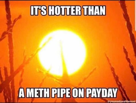 Hot Weather Humor, Funny Mean Quotes, Funny Day Quotes, Sick Humor, Quotes Music, Humor Inappropriate, Funny Quotes Sarcasm, Funny Jokes For Adults, Jokes Pics