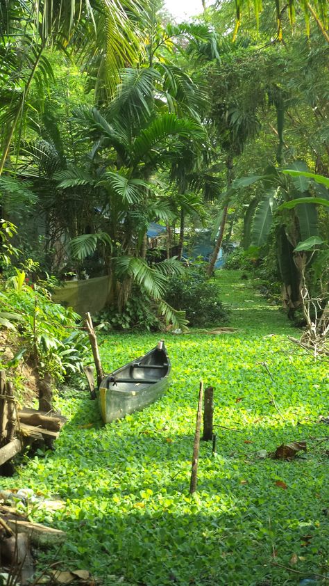 aleppuza kerala kochi ,india one of the awsomest place to visit.. Kochi India, Kerala Backwaters, Kerala Travel, Amazing India, Kerala Tourism, Visit India, Landscape Photography Nature, Kerala India, Most Beautiful Beaches