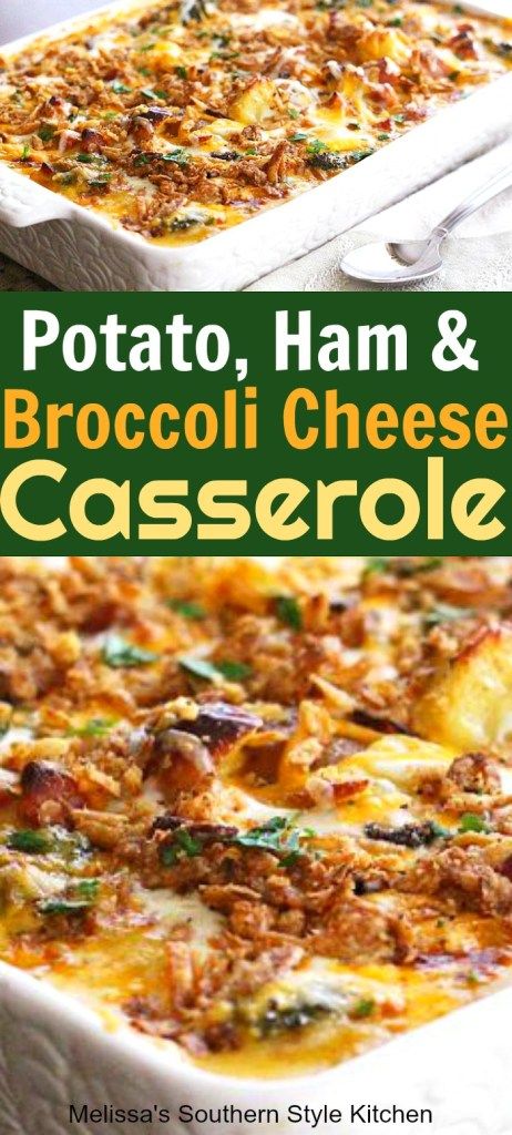 Chicken Broccoli Cheese Casserole, Broccoli Cheese Casserole Easy, Casserole Broccoli, Cheese Potato Casserole, Broccoli Cheese Casserole Recipe, Broccoli Cheddar Casserole, Ham And Broccoli, Ham And Cheese Casserole, Ham And Potato Casserole