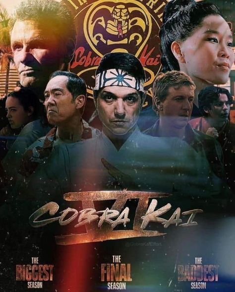 Kobra Kai, Cobra Kai Dojo, Karate Kid Cobra Kai, Kid Cobra, Miyagi, Karate Kid, Cultura Pop, Kickboxing, Serie Tv