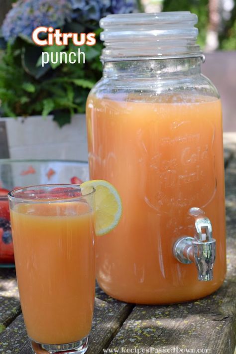 Citrus Punch is a delicious and refreshing punch that's perfect for summer picnics and potlucks. Easy to make and full of sweet and tangy flavors. Sweet with just the right amount of tart to quench your thirst on a hot summer day. www.recipespasseddown.com Refreshing Punch, Lemonade Punch Recipe, Sparkling Punch, Citrus Punch, Orange Punch, Lemonade Punch, Punch Drinks, Refreshing Summer Drinks, Lemon Lime Soda