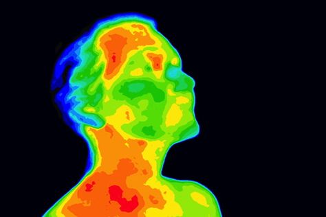 Thermal imaging can reveal just how hard your brain is working Human Body Temperature, Heat Map, Average Body, Thermal Imaging, Digital Trends, Cool Tech, Night Vision, Body Painting, Art Inspo