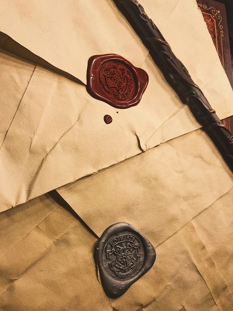 Hogwarts Letter Aesthetic, Gryffindor And Ravenclaw Aesthetic, Gryffindor Crest Aesthetic, Ravendor Gryffinclaw, Magic Wand Harry Potter, Gryffindor Prefect Aesthetic, Harry Potter Gryffindor Slytherin Hufflepuff Ravenclaw, Hogwarts Letter, Harry Styles Aesthetic