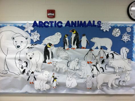 Arctic Animal Bulletin Board Arctic Animals Bulletin Board Ideas, Artic Animal Bulletin Board, Winter Animal Bulletin Board Ideas, Artic Bulletin Board Ideas, Antarctica Bulletin Board, Winter Animals Bulletin Board Ideas, Arctic Animals Bulletin Board, Arctic Bulletin Board Ideas, Artic Habitat