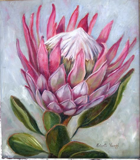 King Protea - oilpainting by R. Visage Protea Plant, Protea Art, Fabric Artwork, Protea Flower, Plant Painting, Ink Drawings, Flower Art Painting, Arte Floral, Drawing Tutorials