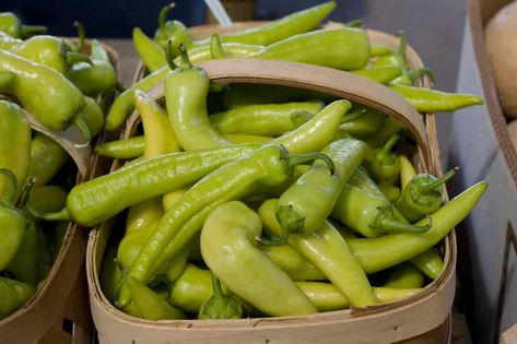 The Banana Pepper Planting Guide: A To Zing - PepperScale Freezing Green Peppers, Pickled Pepperoncini, Recipes With Banana Peppers, Sweet Banana Peppers, Hot Banana Peppers, Pickled Banana Peppers, Pepperoncini Peppers, Canning Vegetables, Banana Peppers