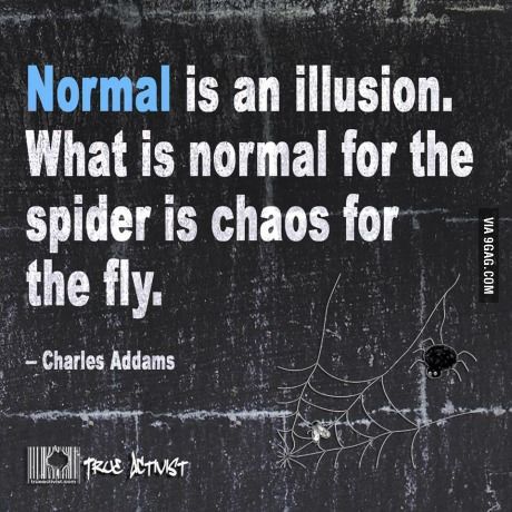 . Normal Is An Illusion, Positive Words, Quotable Quotes, Good Advice, New Memes, Thoughts Quotes, Meaningful Quotes, Wisdom Quotes, True Quotes