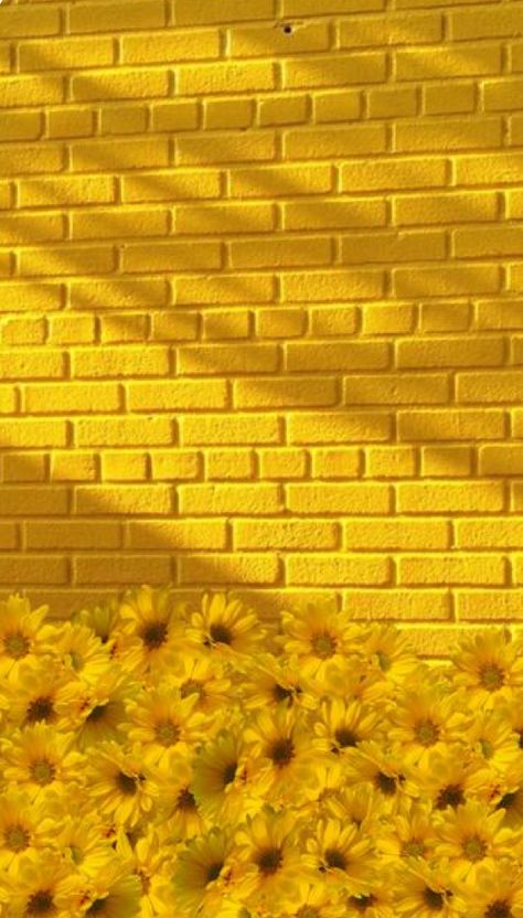 Light Yellow Wallpaper, Bunch Of Sunflowers, Sunflower Aesthetic, Yellow Wallpapers, Yellow Words, Iphone Wallpaper Yellow, Yellow Photography, Yellow Aesthetic Pastel, Aesthetic Phone Wallpaper