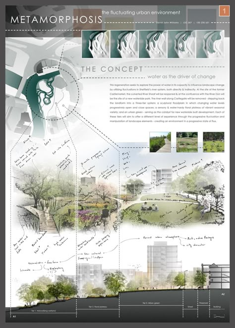 Portfolio D'architecture, Landscape Architecture Presentation, Concept Board Architecture, David Williams, Presentation Board Design, Architecture Presentation Board, Project Presentation, Architecture Board, Presentation Layout