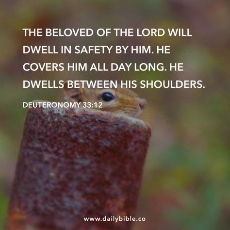 Deuteronomy 33:12 The beloved of the LORD will dwell in safety by him. He covers him all day long. He dwells between his shoulders. Deuteronomy 33 12, Favorite Verses, Christian Pins, Word Of Faith, Great Love Stories, Faith Inspiration, God Loves Me, Inspirational Thoughts, Bible Inspiration