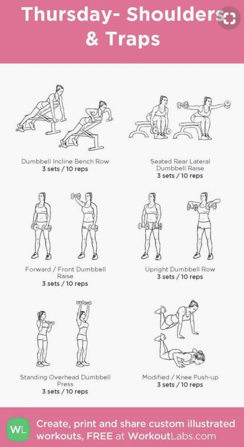 Thursday Gym Workout, Shoulder And Traps Workout Gym, Traps Workout Women, Shoulder Traps Workout, Sharp Shoulders Workout, Gym Workouts Program, Trap Workout Women, Shoulder Gym Workout, Workout Programs Gym