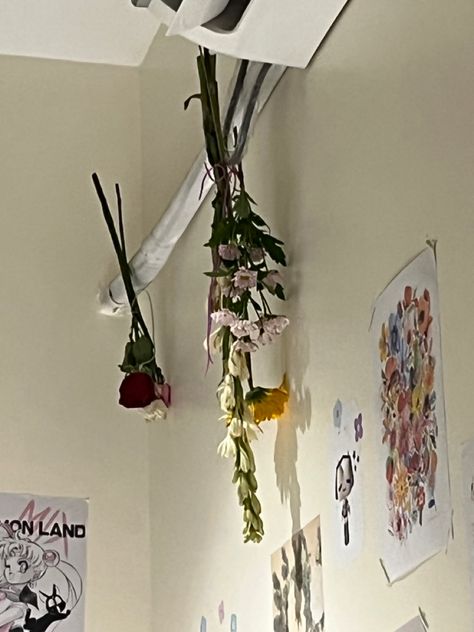 Flowers i easily deied by just hanging upside down :D for room decoration Upside Down Flowers, Hanging Upside Down, Upside Down, Room Decoration, Dried Flowers, Room Decor, Flowers