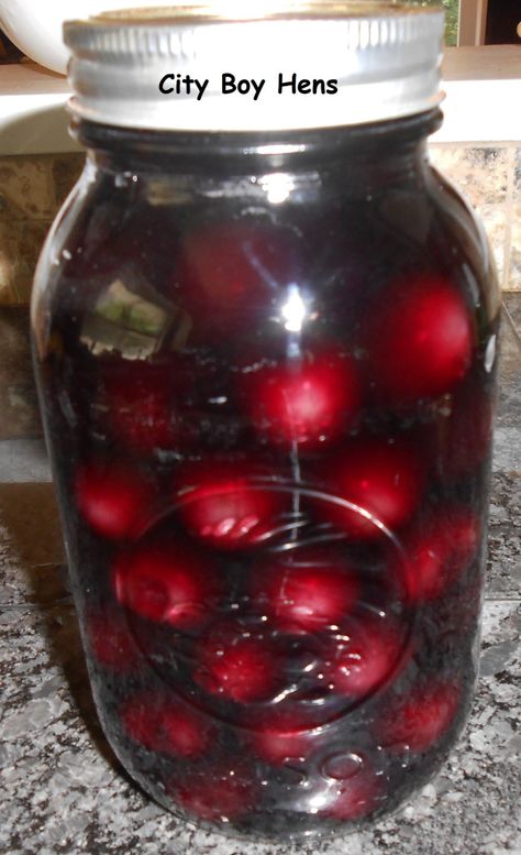 Vodka Cherries Recipe, Moonshine Cherries Recipe, Vodka Cherries, Cherry Soaked In Alcohol, Drunken Cherries Recipe, Drunken Cherries, Dill Pickle Vodka, Recipes Using Dill, Cherry Bounce