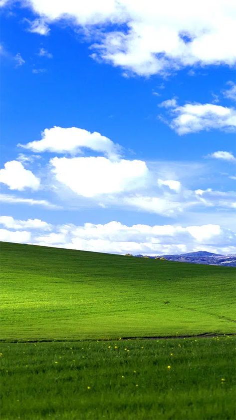 Microsoft Xp Wallpaper, Bliss Windows Xp, Bliss Wallpaper, Microsoft Wallpaper, New Windows, Windows Xp, Microsoft Windows, Operating System, Back In Time