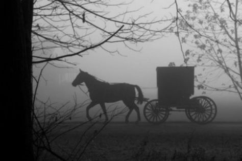 Amish Culture, Victorian Aesthetic, Horse And Buggy, Ciel Phantomhive, Amish Country, The Infernal Devices, Horse Drawn, Corpse Bride, The Darkness