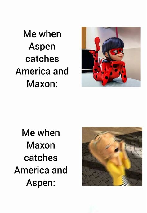 Maxon X America, Aspen Selection, America And Aspen Fan Art, Aspen From The Selection, America And Maxon Fanart, The Selection Fan Art Maxon America, Aspen The Selection, America And Maxon Schreave, The Selection Memes Funny