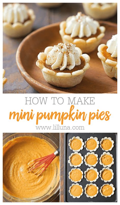 Mini pumpkin pies are everything you love about a smooth and creamy homemade pumpkin pie, in a cute & tasty bite sized portion!! #minipumpkinpie #pumpkinpie #minipie #thanksgiving #pumpkin Mini Pumpkin Flowers, Miniature Pumpkin Pie, Pillsbury Mini Pumpkin Pies, Mini Pies Pillsbury, Mini Pie Pan Recipes, Homemade Mini Pumpkin Pies, Mini Pumpkin Pie Flowers, Pillsbury Mini Pies, Mini Pie Cups