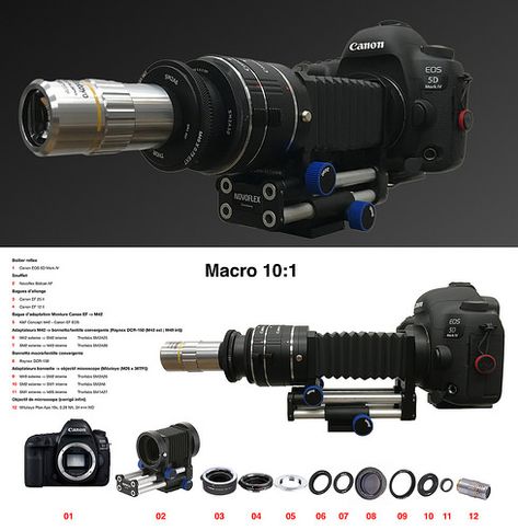 Montage Mitutoyo 10x + raynox DCR-250 + soufflet | by PatHDTattoo Macro Photography Setup, Macro Photography Equipment, Macro Photography Art, Extreme Macro Photography, Macro Lens Photography, Cctv Security Systems, Fotocamere Vintage, Micro Photography, Camera Rig