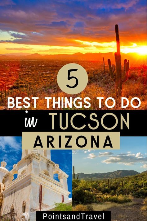 5 Top Things to do in Tucson, AZ. Whether you are a foodie, a dedicated camper, or a refined history buff, Tucson is an oasis in the desert waiting to be discovered.  | What to do in Tuscon AZ | Best things to do in Arizona | Tucson Itinerary | Tucson Road Trip | #tucson #arizona Things To Do In Tucson Arizona, Things To Do In Tuscon Arizona, Tucson Az Things To Do In, Tuscon Arizona Hikes, What To Do In Tucson Arizona, Downtown Tucson Arizona, Tucson Arizona Restaurants, Best Restaurants In Tucson Az, Tuscan Arizona Things To Do