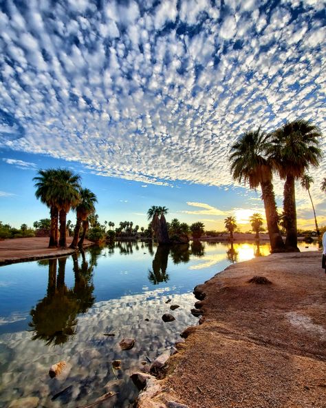 Papago Park Phoenix AZ Sunset (OC) (3456x4320) #landscapes #nature #beauty #photography #travel Phoenix Arizona Photography, Az Sunset, South Western Decor, Papago Park, Someone Loves You, Cactus Photography, Walking On Water, Arizona Vacation, Saguaro National Park