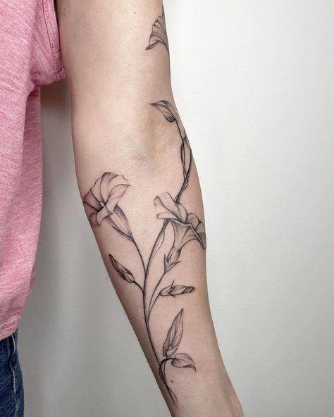 Morning Glory Forearm Tattoo, Coverup Tattoo Forearm, Morning Glory Wrap Around Tattoo, Morning Glory Tattoo Sleeve, Dainty Morning Glory Tattoo, Morning Glory Arm Tattoo, Morning Glory Tattoo Black And White, Morning Glory Line Art, Morning Glory Vine Tattoo