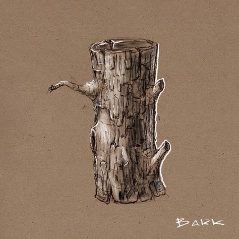 Tree Bark Drawing Texture, Tree Bark Illustration, Tree Bark Sketch, Tree Bark Watercolor, Treebark Fanart, Tree Trunk Sketch, Tree Bark Drawing, Tree Bark Painting, Bark Drawing