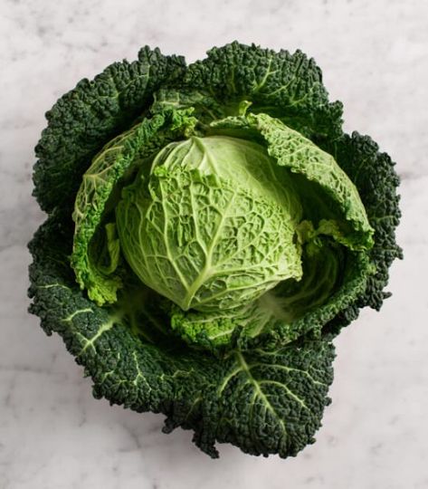 Cabbage Photography, Giant Vegetable, Vegan Ricotta, Savoy Cabbage, Stuffed Cabbage, Idea Photo, Post Workout Food, Green Cabbage, Bean Curd