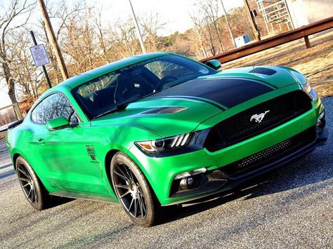 1000hp 2015 Mustang 5.0 GT Green Mustang, 2017 Mustang, Mustang 2005, Ford Mustang 2015, Mustang 2015, S550 Mustang, Best Car Insurance, 2015 Mustang, 2015 Ford Mustang