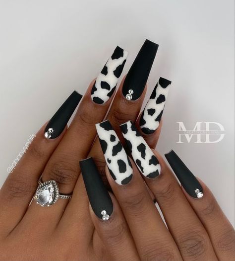 Black And White Nails - Cow print acrylic nails Cow Print Acrylic Nails, Trending Winter Nails, Fashion 2023 Winter, Winter Nails Christmas, Cowboy Nails, Classy Nail Art Ideas, Black And White Nails, Animal Print Nails Art, Western Nails