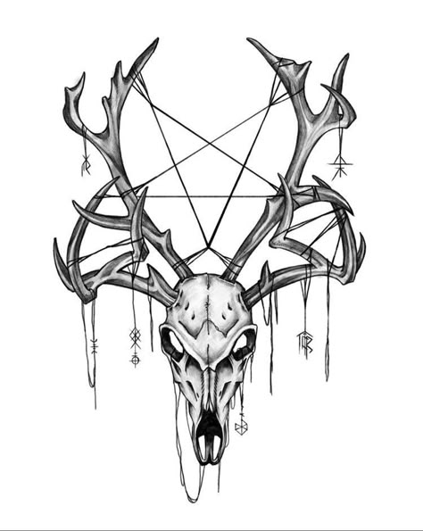 European Deer Skull Tattoo, Crow On Skull Drawing, Dear Skull Drawing, Deer Skull Art Drawing, Skull With Antlers Tattoo, Animal Skull Drawing Sketches, Goat Skull Drawing, Crow Skull Drawing, Wolf Skull Drawing