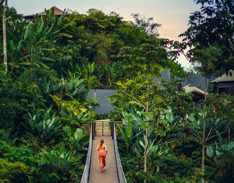 Nayara Tented Camp | Nayara Tent | Costa Rica | Relais & Chateaux Large Bathtub, Tented Camp, Eco Luxury, Double Shower, Maid Service, Plunge Pool, Laundry Service, Crystal Clear Water, Mini Bar