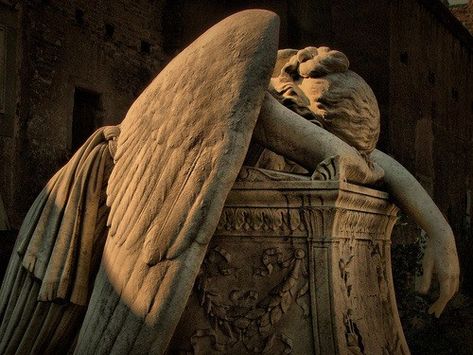 Dark Acadamia, Greek Tragedy, Weeping Angel, Angel Statue, Angel Aesthetic, Angel Statues, Dark Academia Aesthetic, The Secret History, Yamaguchi