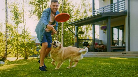 5 Dog-Friendly Fertilizers for Your Lawn - Earth911 Dog Tricks, Disabled Dog, Easy Tricks, Dog Safety, Dog Hacks, Positive Reinforcement, Pet Safe, Canine Companions, Dog Show