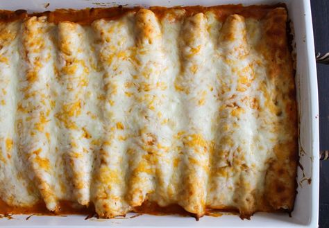 Buffalo Chicken Enchiladas Chicken Enchiladas Recipes, Buffalo Chicken Enchiladas, Magnolia Recipes, Enchiladas Recipes, Recipes With Ingredients, Magnolia Table, Creamy Dressing, Red Enchilada Sauce, Beef Enchiladas