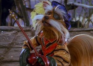 Sir Didymus, Labyrinth. La mia recensione @ http://postmodemplan.wordpress.com/2013/02/18/labyrinth-dove-tutto-e-possibile-da-flop-a-stracult/ Sir Didymus, Jim Henson Creature Shop, Labyrinth Tattoo, Puppetry Arts, Sir Lancelot, Labyrinth 1986, Labyrinth Movie, Creative Grooming, Goblin King