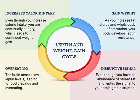 How to Prevent Leptin Resistance - Life Extension Leptin Resistance Diet, Insulin Resistance Symptoms, Leptin Resistance, High Carb Foods, Healthy Body Weight, Glucose Levels, Blood Glucose, Insulin Resistance, Calorie Intake