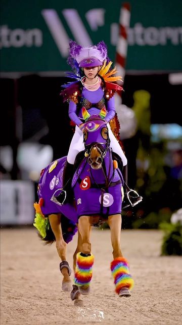 Horse Show Costume Class Ideas, Horse Halloween Ideas, Horse Fancy Dress, Duo Ideas, Winter Equestrian Festival, Horse Halloween Costumes, Horse Halloween, Horse Costume, Funny Horse Pictures