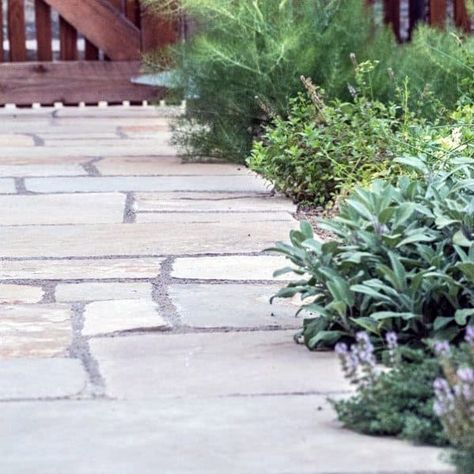 Top 60 Best Stone Walkway Ideas - Hardscape Path Designs Stone Walkway Ideas, Stone Pathway Ideas, Walkway Design Ideas, Stepping Stone Ideas, Walkway Designs, Garden Walkways, Stone Walkways, Pathway Ideas, Concrete Patio Designs