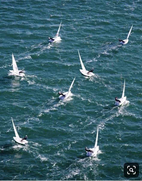 Laser Sailboat, Sailing Aesthetic, Sailboat Racing, Sailing Regatta, Sailing Dinghy, Sail Life, Yacht Racing, Sail Racing, Float Your Boat