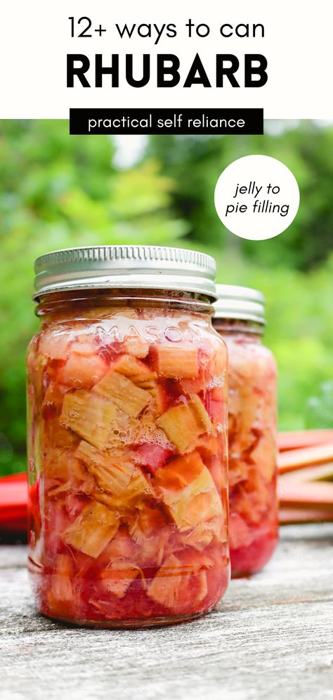 Rhubarb Canning Recipes, Canning Rhubarb, Rhubarb Ideas, Rhubarb Pies, Creative Canning, Canned Recipes, Rhubarb Jelly, Rhubarb Rhubarb, Growing Rhubarb