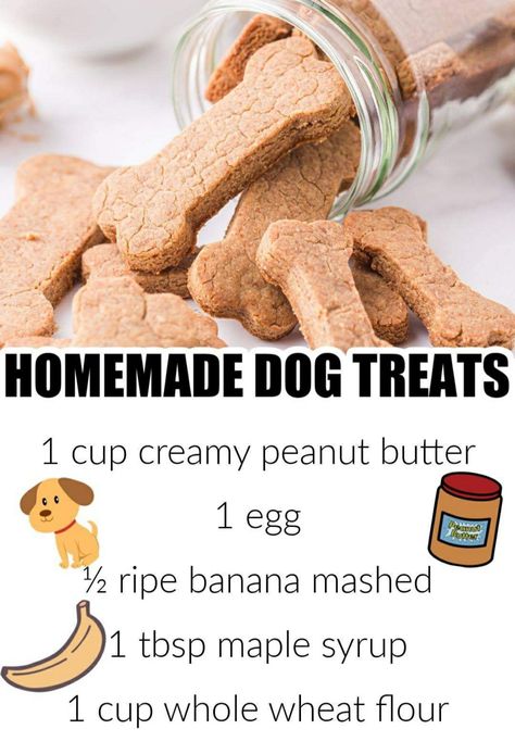 Pup Treats, Foods Dogs Can Eat, Pet Treats Recipes, Dog Treats Homemade Easy, Easy Dog Treat Recipes, Dog Biscuit Recipes, Easy Dog Treats, Healthy Dog Treats Homemade, Peanut Butter Dog Treats