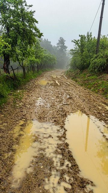 Punjab Village Photography, Dirt Road Aesthetic, Puddle Of Mudd Album Cover, Puddle Of Mudd, Country Dirt Road, Mud Puddle, Dirt Road, Image Types, Public Domain Images