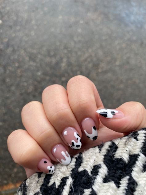 Cow Spot Nails, Cow Nails Almond Shape, Cute Cow Nail Designs, Cow French Nails, Cow Nail Ideas, Cow Nails Designs, Nail Designs Cow Print, Cowprint Nail Design, Cow Nails Acrylic