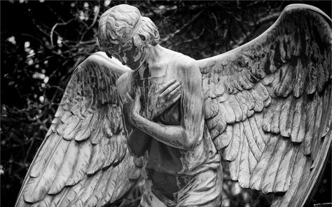 Angels Wallpaper, Angel Wallpaper, Angel Statues, Wallpaper Pc, Cemetery, Desktop Wallpaper, Greek Statue, Angel, Statue