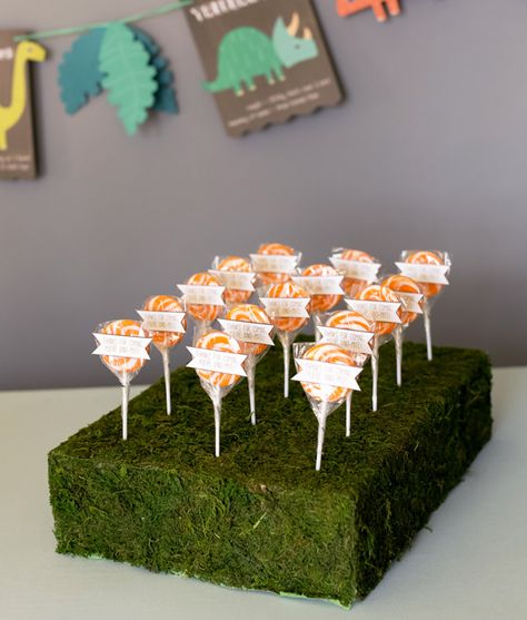 Could get square foam at dollar store, wrap with cute paper and put lollies on top ;) Lollipop Stand Diy, Lollipop Display Ideas, Diy Cake Pop Stand, Cosmic Bowling, Lollipop Stand, Lollipop Display, Butterfly Garden Party, Cake Pop Displays, Diy Moss