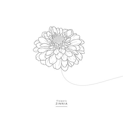 Zinnia Flowers Tattoo Simple, Zinnia Flower Sketch, Zinnia Drawing Simple, Zinnia Tattoo Ideas, Zinnia Flowers Tattoo, Zinnia Flowers Drawing, Zinnia Drawing, Zinnia Tattoo, Playful Wedding