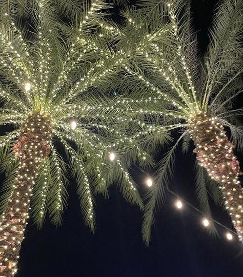 Palm Tree Christmas Lights, Mall Exterior, Palm Tree Christmas, Palm Tree Lights, Fake Palm Tree, Palm Tree Photography, Christmas Palm Tree, Holiday 2024, Light Ideas